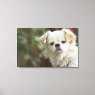Portrait of Dog 5 Canvas Print