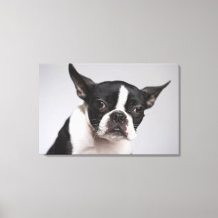 Portrait of dog canvas print