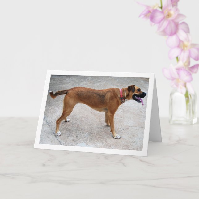 Portrait of Dog Card (Orchid)