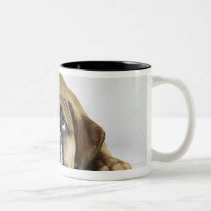 Portrait of Dorset Old Tyme Bulldog Two-Tone Coffee Mug