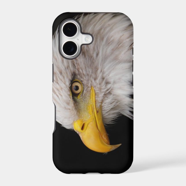 Portrait of eagle (Back)