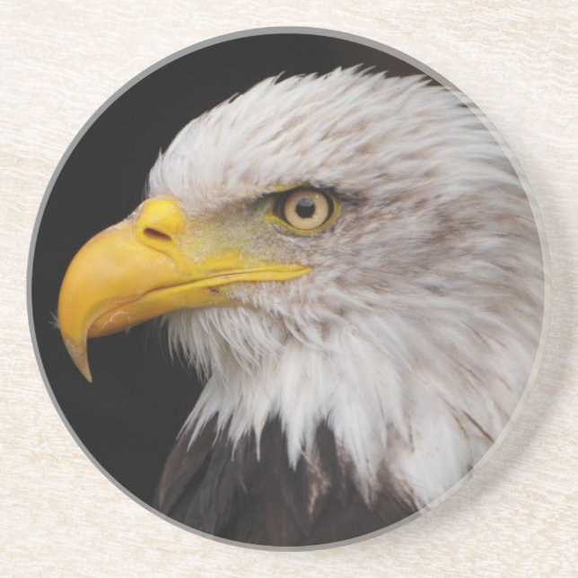Portrait of eagle coaster (Front)