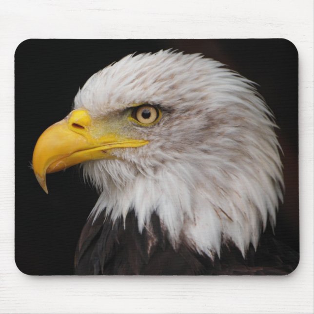 Portrait of eagle mouse pad (Front)