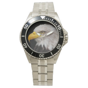 Portrait of eagle watch