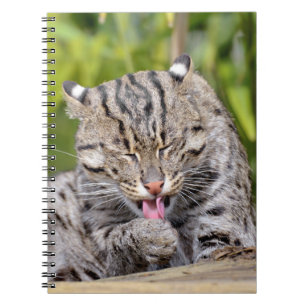 Portrait of fishing cat notebook