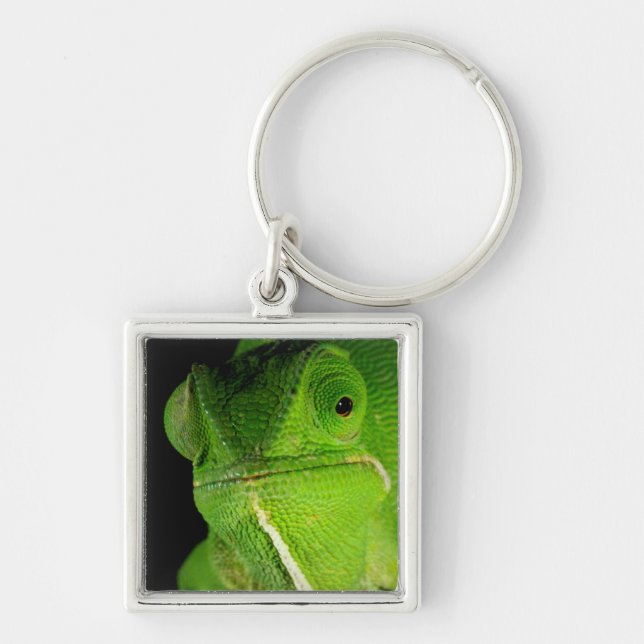 Portrait Of Flap-Necked Chameleon Key Ring (Front)