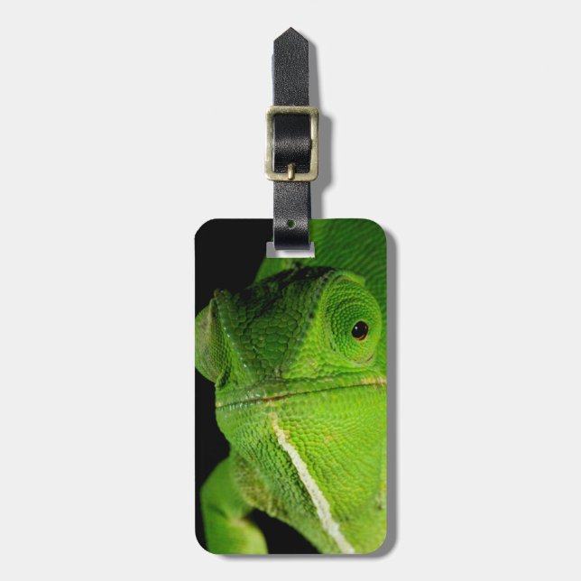 Portrait Of Flap-Necked Chameleon Luggage Tag (Front Vertical)