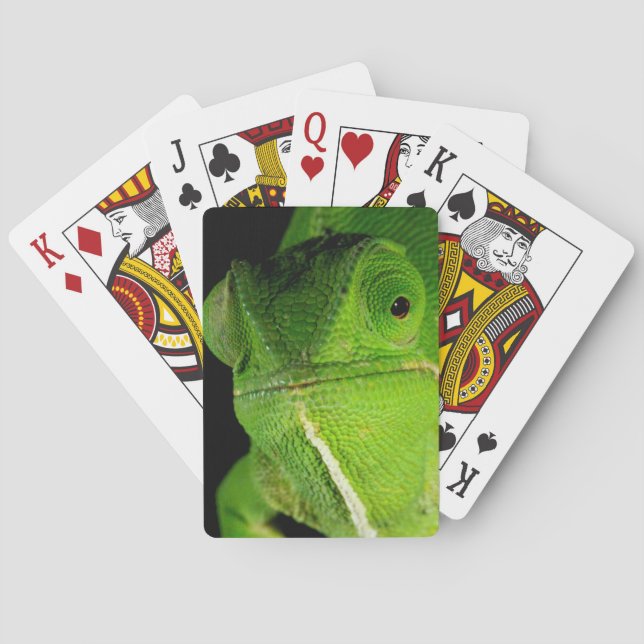 Portrait Of Flap-Necked Chameleon Playing Cards (Back)