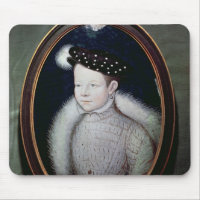 Portrait of Francis II as Dauphin of France