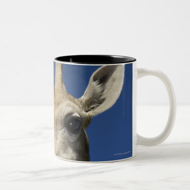 Portrait of Giraffe (Giraffa Camelopardalis) 2 Two-Tone Coffee Mug (Right)