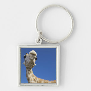 Portrait of Giraffe (Giraffa Camelopardalis) Key Ring