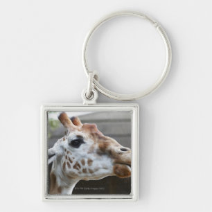 Portrait of Giraffe (Giraffa camelopardalis) Key Ring
