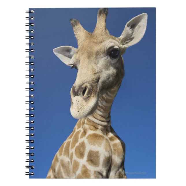 Portrait of Giraffe (Giraffa Camelopardalis) Spiral Notebook (Front)