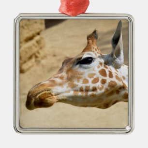 Portrait of giraffe metal tree decoration