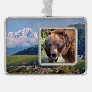 Portrait of Grizzly bear Postcard Square Sticker T Silver Plated Framed Ornament