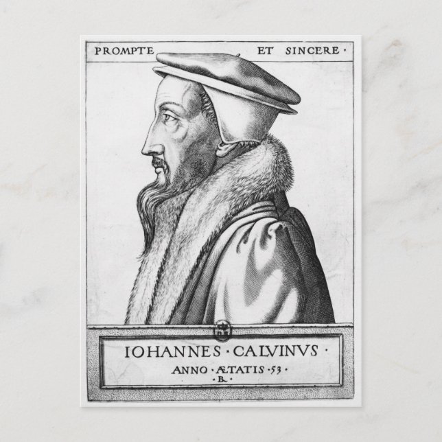 Portrait of John Calvin  aged 53, 1564 Postcard (Front)