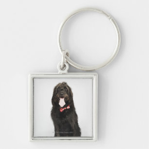 Portrait of Labradoodle dog Key Ring