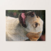Portrait Of Labrador Retriever, Hilton Jigsaw Puzzle (Horizontal)