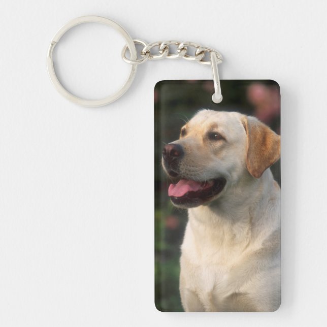 Portrait Of Labrador Retriever, Hilton Key Ring (Front)