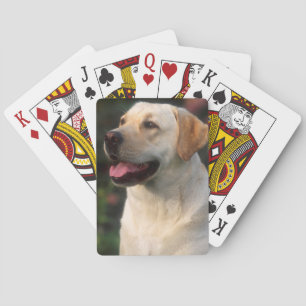 Portrait Of Labrador Retriever, Hilton Playing Cards