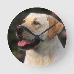 Portrait Of Labrador Retriever, Hilton Round Clock