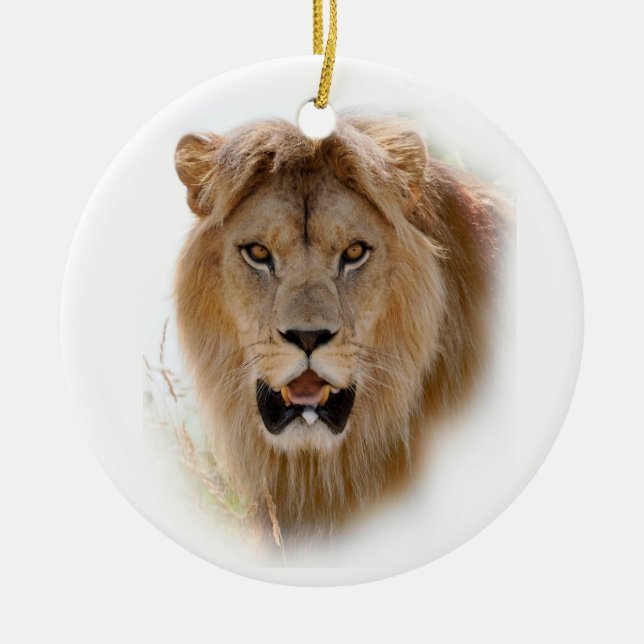 Portrait of lion ceramic tree decoration (Front)