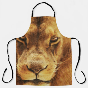 Portrait of male African lion. Apron
