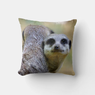 Portrait of meerkats or suricates  cushion