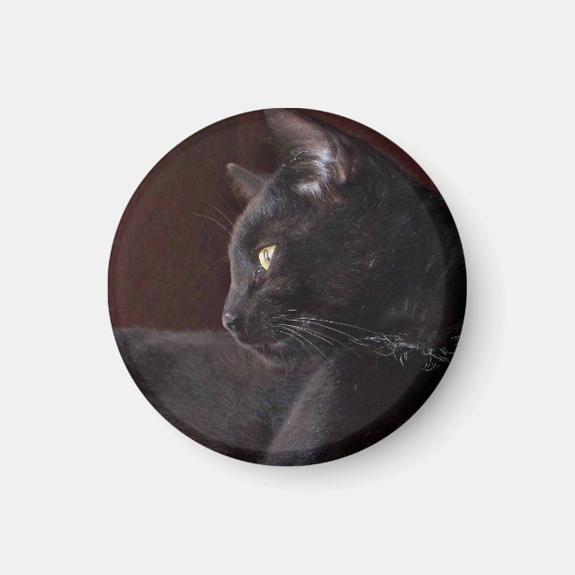Portrait of My Boy, Charlie Magnet (Front)