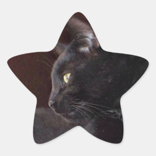 Portrait of My Boy, Charlie Star Sticker