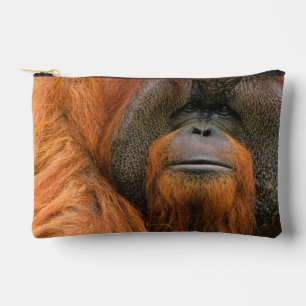 Portrait of Orang-utang Male, Georgia, USA Accessory Pouch