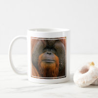 Portrait of Orang-utang Male, Georgia, USA