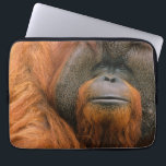 Portrait of Orang-utang Male, Georgia, USA Laptop Sleeve<br><div class="desc">Portrait of Orang-utang (Pongo pygmaeus) male,  Georgia,  USA</div>