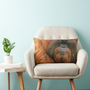 Portrait of Orang-utang Male, Georgia, USA Lumbar Cushion