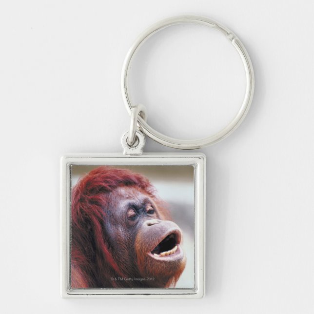 Portrait of orangutan key ring (Front)