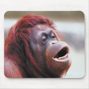 Portrait of orangutan mouse pad