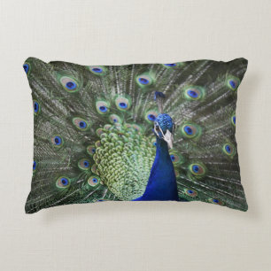 Portrait Of  Peacock With Feathers Out Decorative Cushion