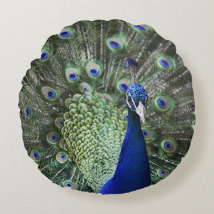 Portrait Of Peacock With Feathers Out Round Cushion