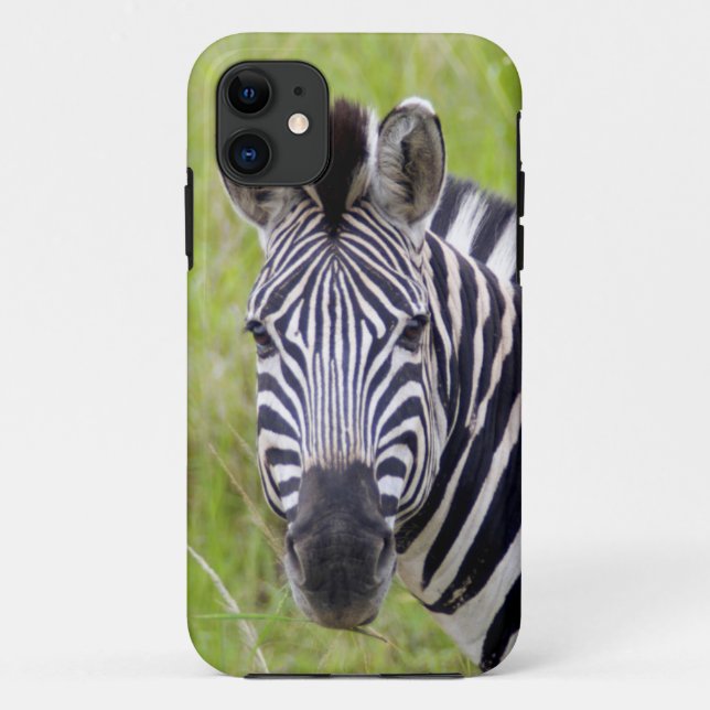 Portrait Of Plains Zebra, Hluhluwe-Umfolozi Game Case-Mate iPhone Case (Back)