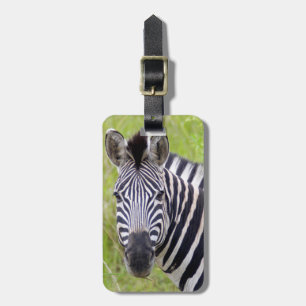 Portrait Of Plains Zebra, Hluhluwe-Umfolozi Game Luggage Tag