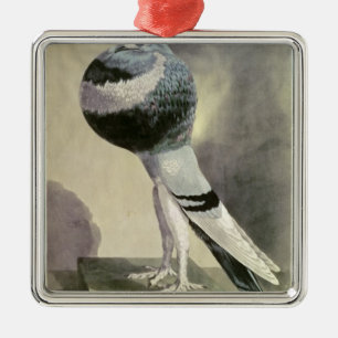 Portrait of Pouter Pigeon Metal Tree Decoration