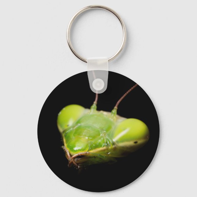 Portrait of praying mantis key ring (Front)