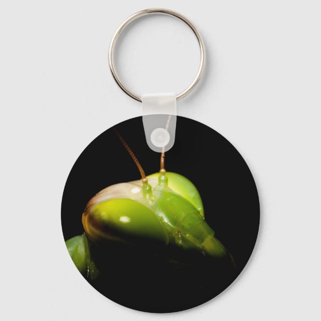 Portrait of praying mantis key ring (Front)