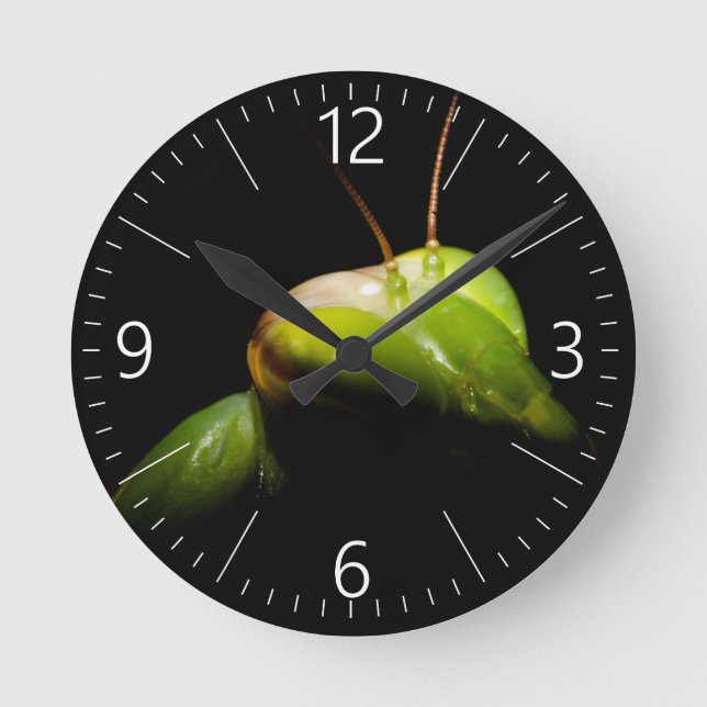 Portrait of praying mantis round clock (Front)