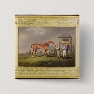 Portrait of 'Quiz', the property of Lord Rous, aft 15 Cm Square Badge