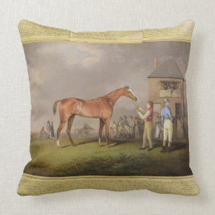 Portrait of 'Quiz', the property of Lord Rous, aft Cushion