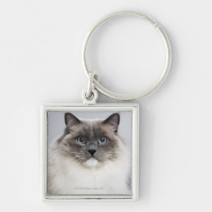 Portrait of Ragdoll cat Key Ring