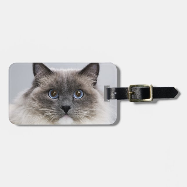 Portrait of Ragdoll Cat Luggage Tag (Front Horizontal)