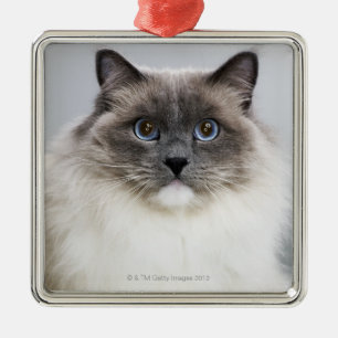 Portrait of Ragdoll cat Metal Tree Decoration