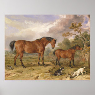 Portrait of Reformer, Blucher, Tory and Crib Poster